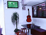 Invited by the rhythm of Bossa Nova ・・・。