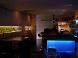 A hideaway bar in an alley. The yellow dogatee is the landmark.