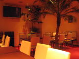 From Nagoya! The concept is "Sports Bar for Adults Going One Step Ahead"