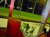 The cafe that Jeff supporters had been waiting for finally opened.